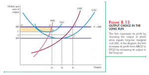 Choosing Firm’s Output in the Long Run