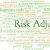 Adjustments for Risk
