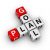 Goals and Plans of the firm