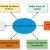 Establishing a Strong Ethical Culture for a Firm