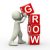 BIG FISH PRESENTATIONS: Growing in a Cautious, yet deliberate  Manner