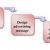 Developing and Managing an Advertising Program