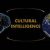 Cultural Intelligence