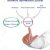 Strategic Business Objectives of Information Systems