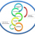 Implementing Sales and Operations Planning in the Supply Chain in Practice
