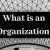 What Is an Organization?