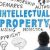 Protection of Intellectual Property Rights