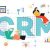 Role of IT in CRM