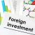 Analyzing the Foreign Investment Project: Assessing Profitability